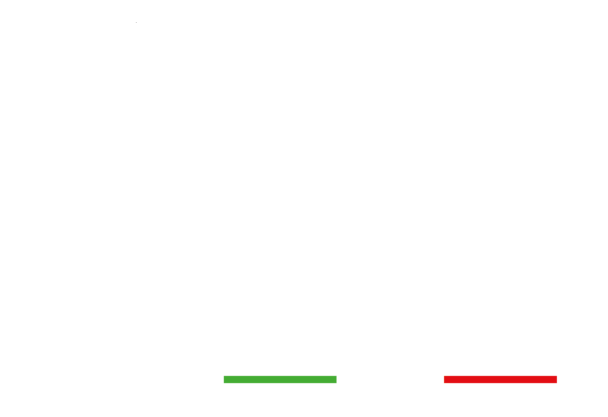 Pizza Bella